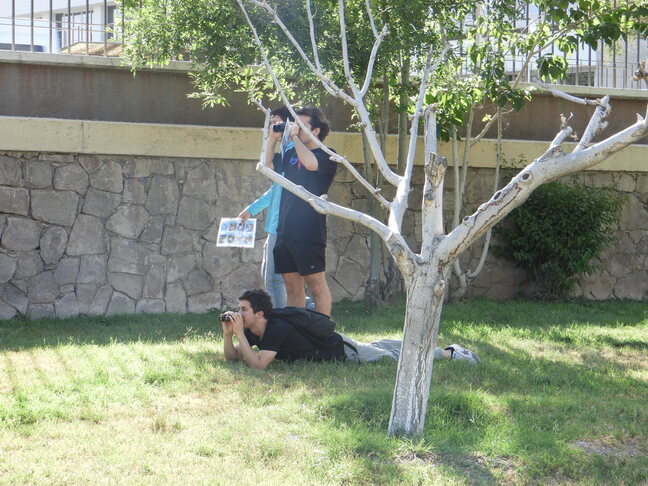 Aves visibles, campus consciente