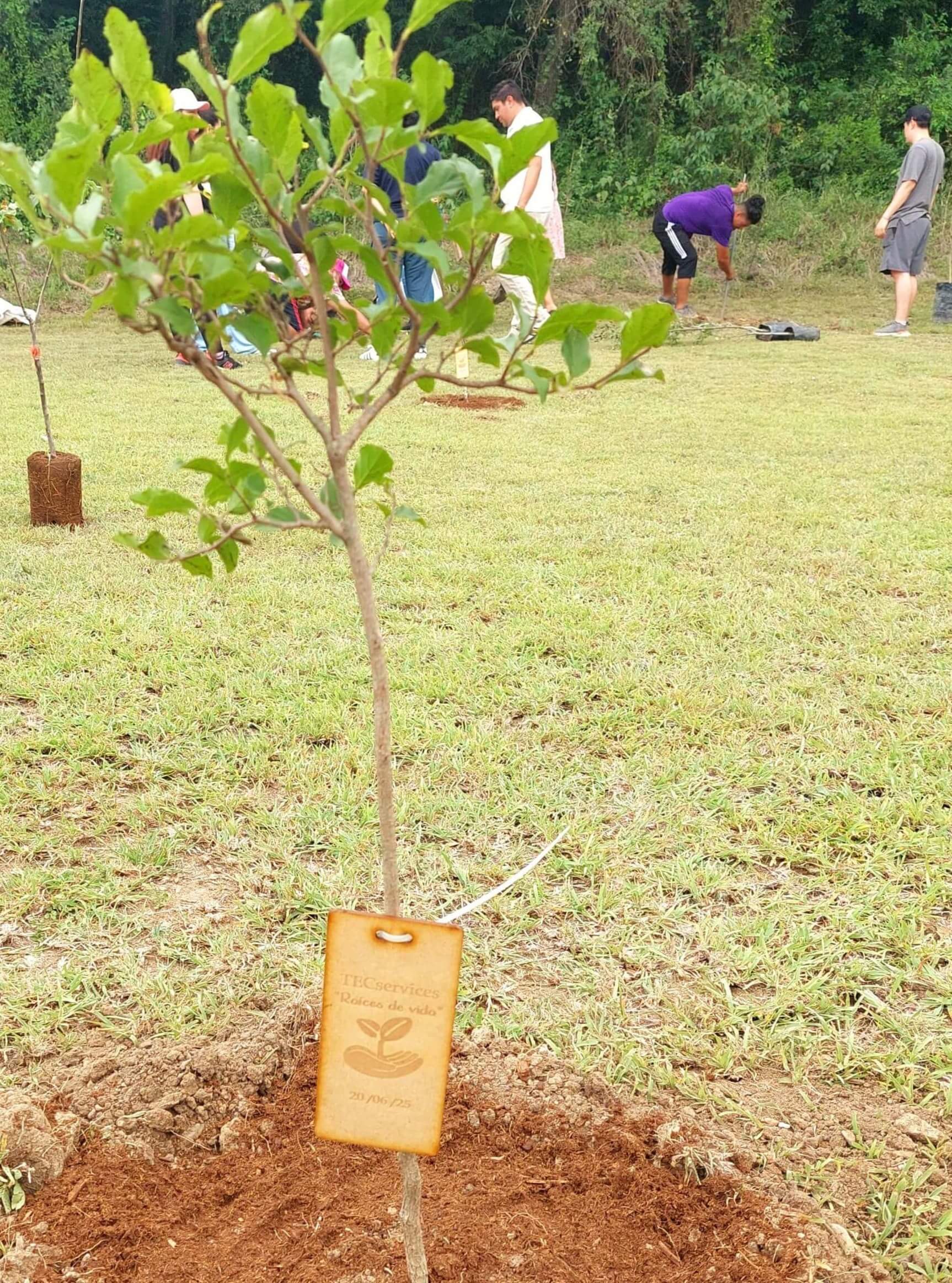 Proyecto de Reforestación-Raíces de Vida
