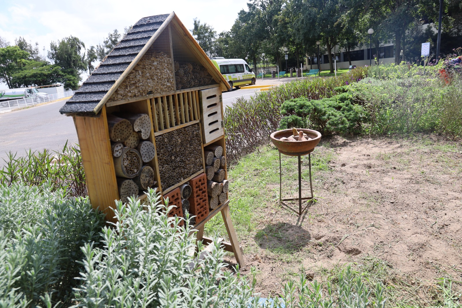 Además de que esta iniciativa se alinea a Ruta Azul, la estrategia institucional del Tec enfocada en la sostenibilidad y la lucha contra el cambio climático, obtener el reconocimiento es solo el inicio, pues el campus debe realizar un seguimiento puntual y mantener un control estricto de la flora para renovar su acreditación anualmente.