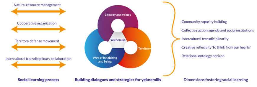 Procesos de aprendizaje social y para el yeknemilis (Bueno et al., 2023)