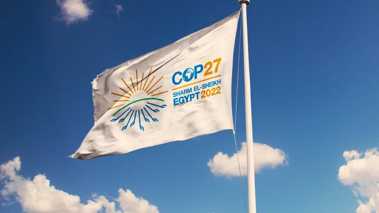 ¿Cómo nos fue en la COP 27?: aprendizajes y acciones sobre el cambio climático.