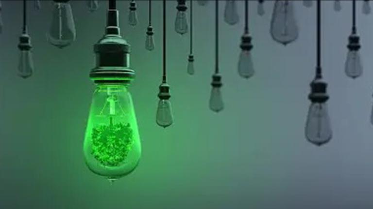 Foco incandescente con un árbol dentro.