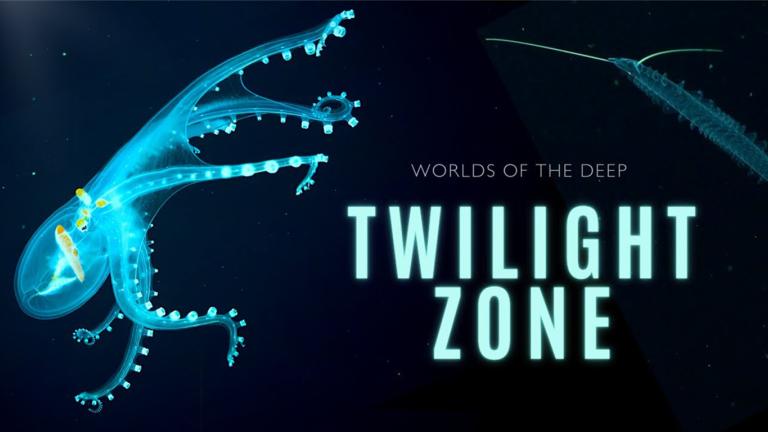 Natural World Facts