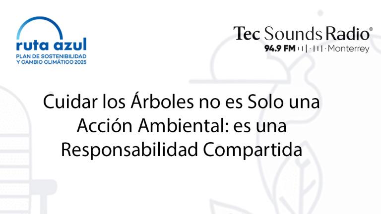 Cuidar los Árboles no es Solo una Acción Ambiental: es una Responsabilidad Compartida