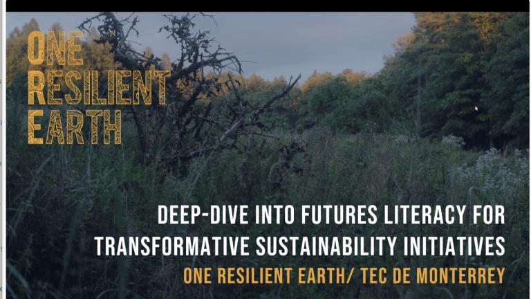 Impulsando el Pensamiento Futuro para la Sostenibilidad en el CADI de Invierno 2026