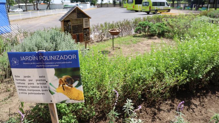 Tec Guadalajara: Un Refugio de Vida en la Red Poliniza