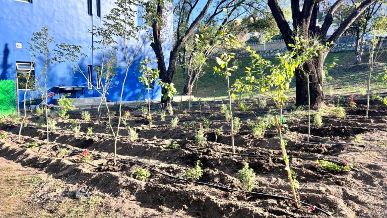 MicroBosque Nativo de PrepaTec EGS