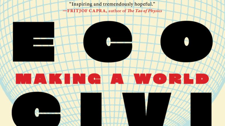 Ecocivilization: Making a World that Works for All 
