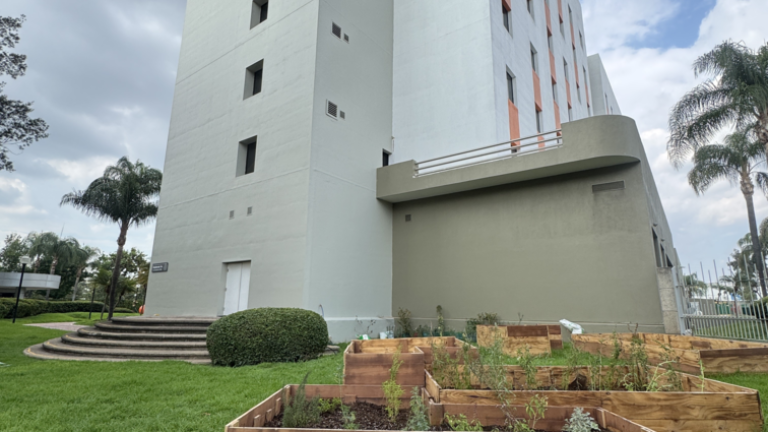Resis Sostenible: Proyecto SAVIA, Jardín Polinizador