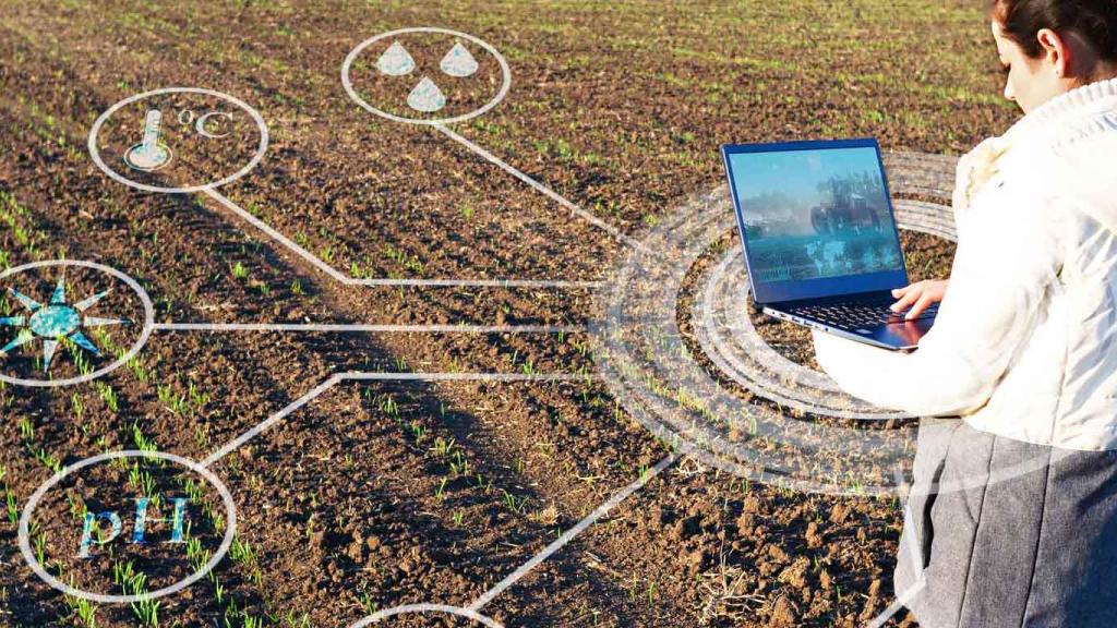 Revelación del futuro: IA y agricultura digital en sistemas de alimentación sustentables