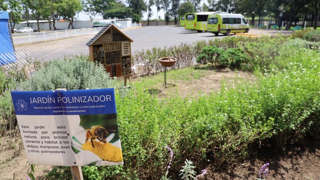  Tec Guadalajara: Un Refugio de Vida en la Red Poliniza