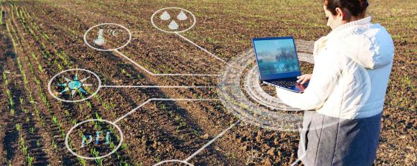 Revelación del futuro: IA y agricultura digital en sistemas de alimentación sustentables